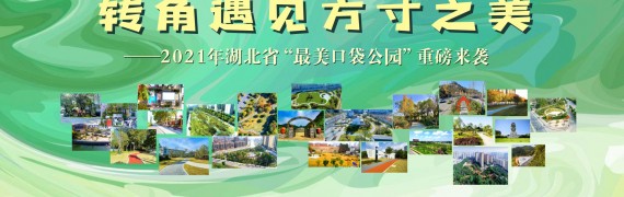 转角遇见方寸之美  ——2021年湖北省“最美口袋公园”重磅来袭